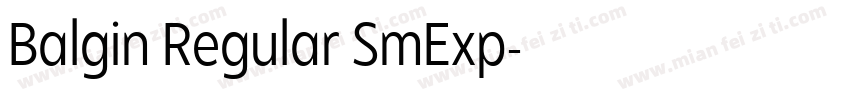 Balgin Regular SmExp字体转换